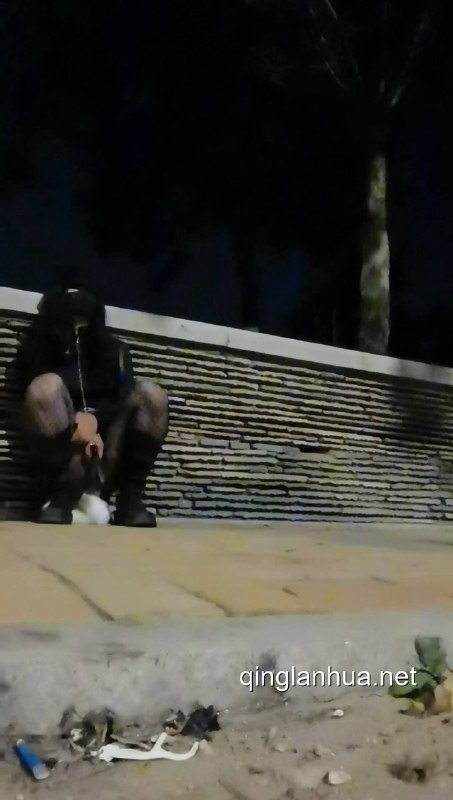 #hx0532 醉酒小男娘的户外露出经历～被灌酒喝醉后的小男娘被随意丢丢弃在路边，被来往的出租车司机发现～路边呕吐➕大量失禁➕尾巴.mp4