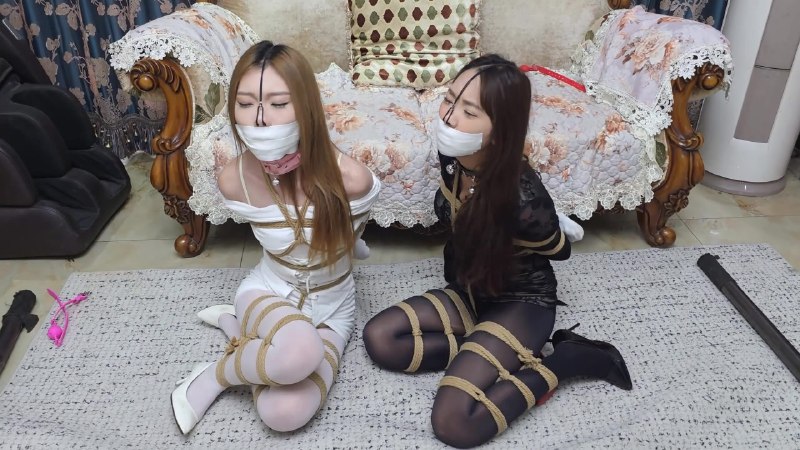 #枫叶工作室 彩虹与黑猫·新美人捕获·菜鸟侦探失踪事件下载地址