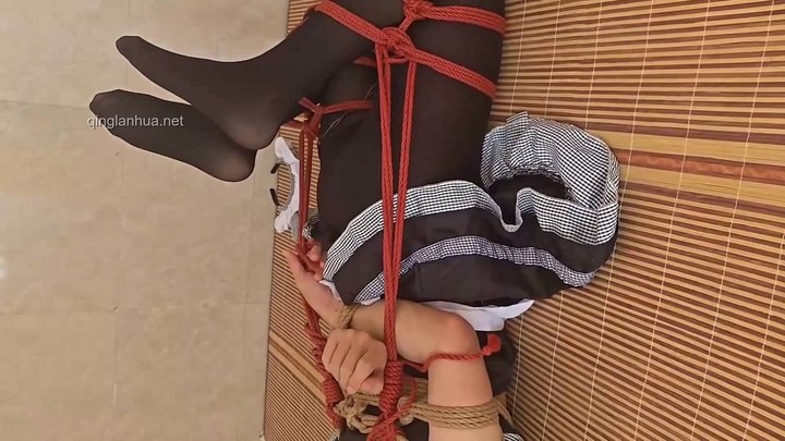 #蕉蕉鱼 在逐渐加大的郊狼攻势下追风能成功脱缚吗？.mp4