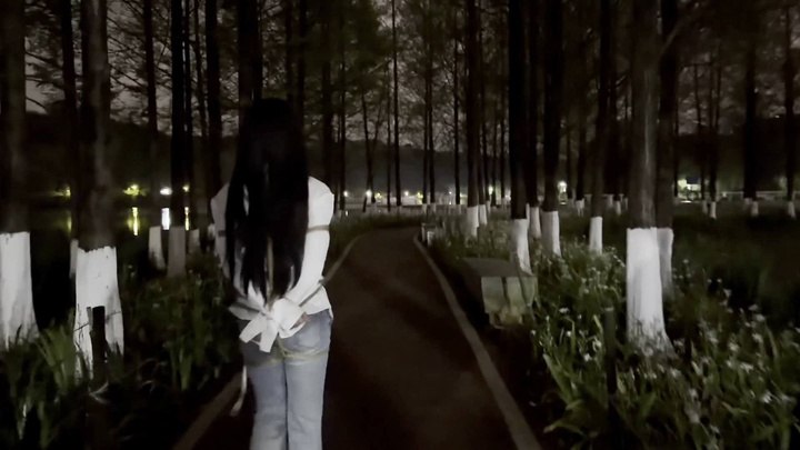 #桃花岛 公园游行记.mp4