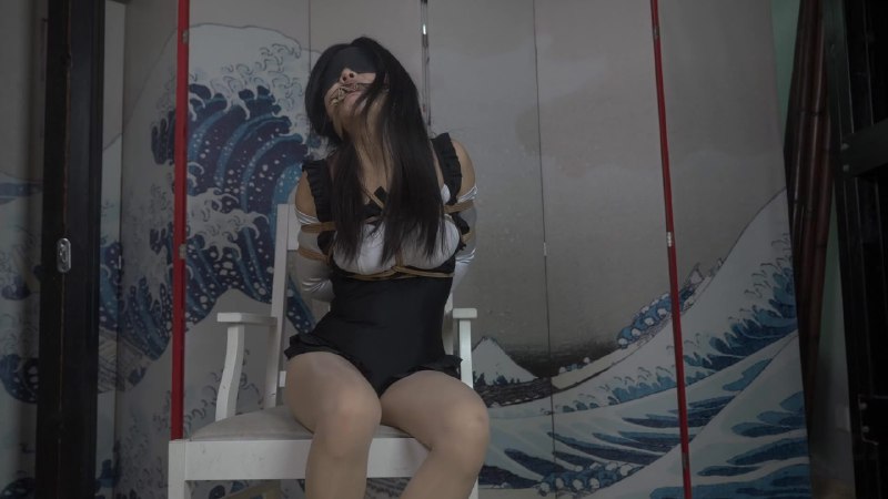 #象人工作室 小0-女仆装肉丝，被人戴上了缎面长手套，该怎么解锁手机呢？下载地址