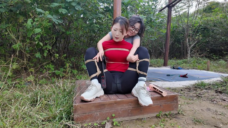 #李大侠原创 踏青之TK、SP游戏下集下载地址