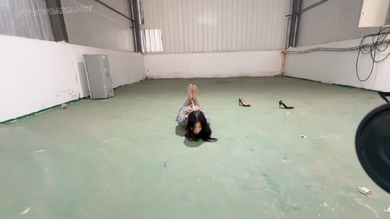 #媚娘工作室 背高手驷马放置到爆哭的壹壹.mp4