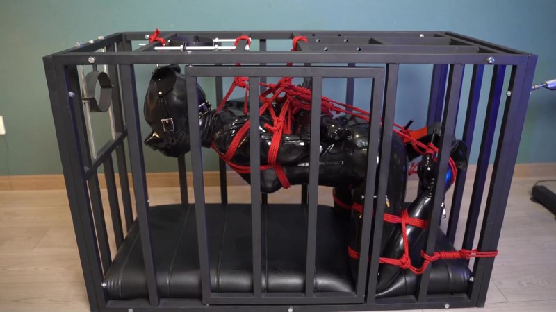 #闪闪工作室 采访×奖励×惩罚 - 一次特殊的乳胶人偶访谈节目下载地址