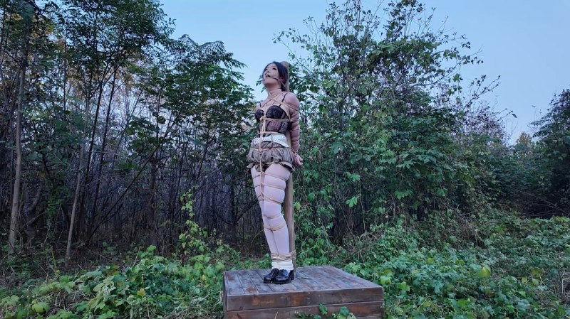 #一绳所爱 野外、柱子上的 陈依依下载地址